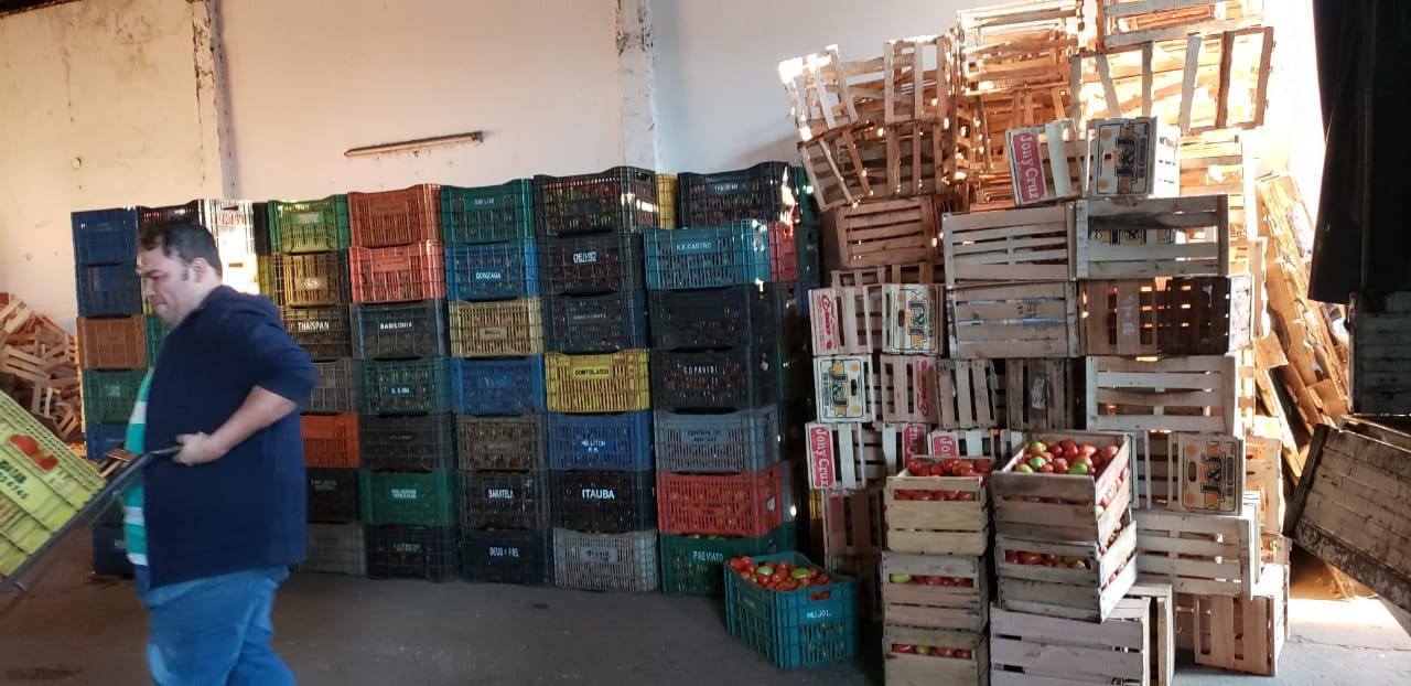 Incautaron más de 600 cajas de tomates ingresados de contrabando