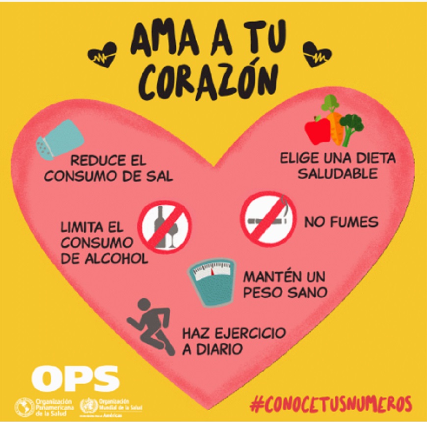 Conecta Tu Corazón A Estilos De Vida Saludable La Unión 8564