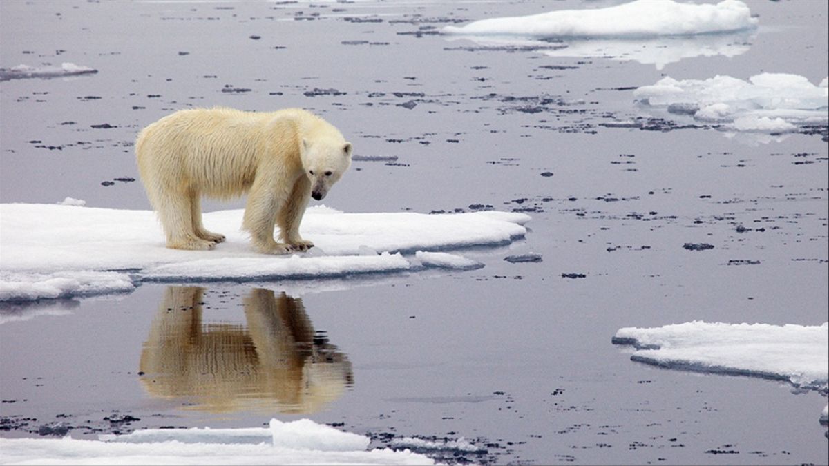 Informe de la ONU confirma récord de calor en el Ártico de 38 ºC