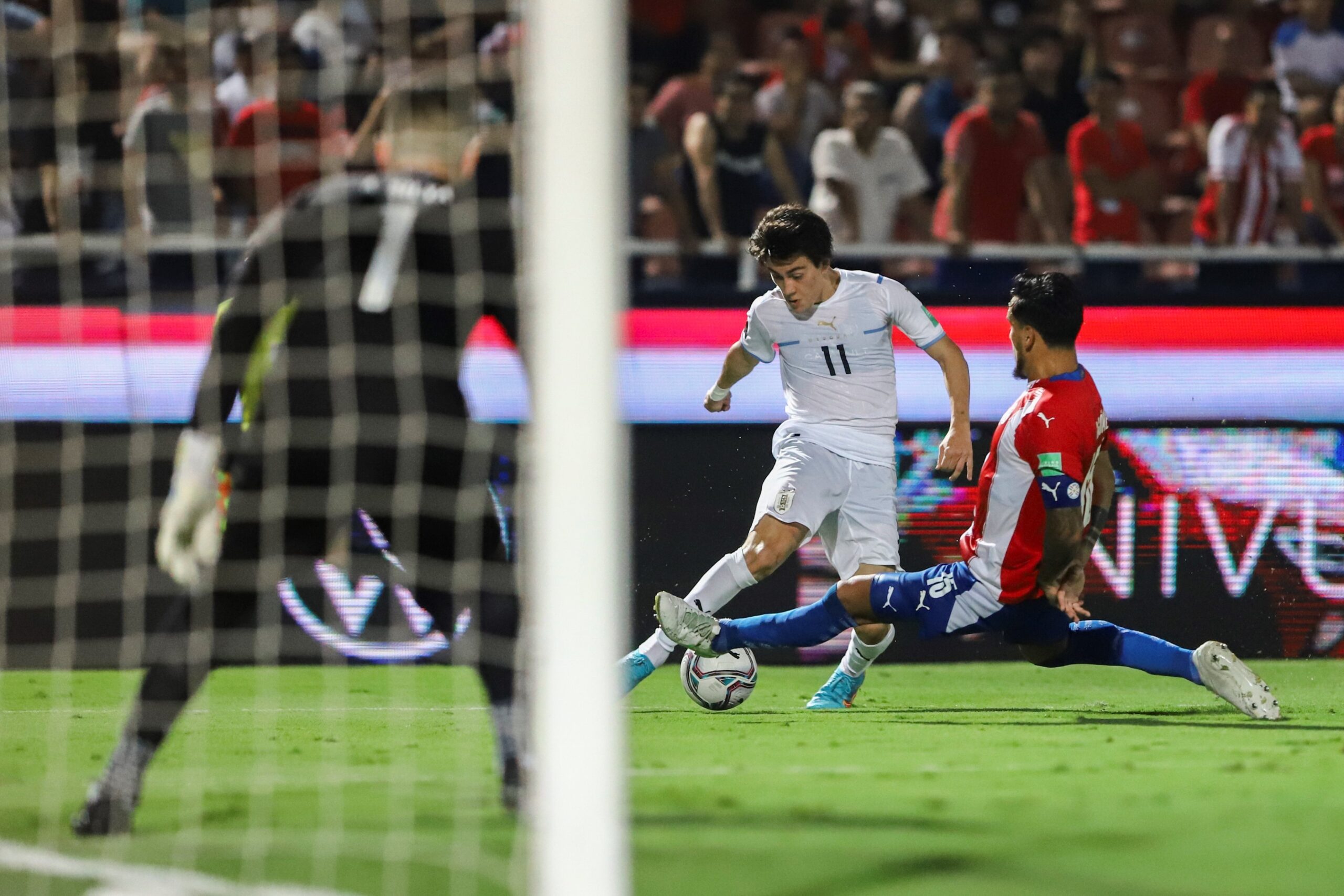 La Albirroja volvió a perder y se despide del Mundial