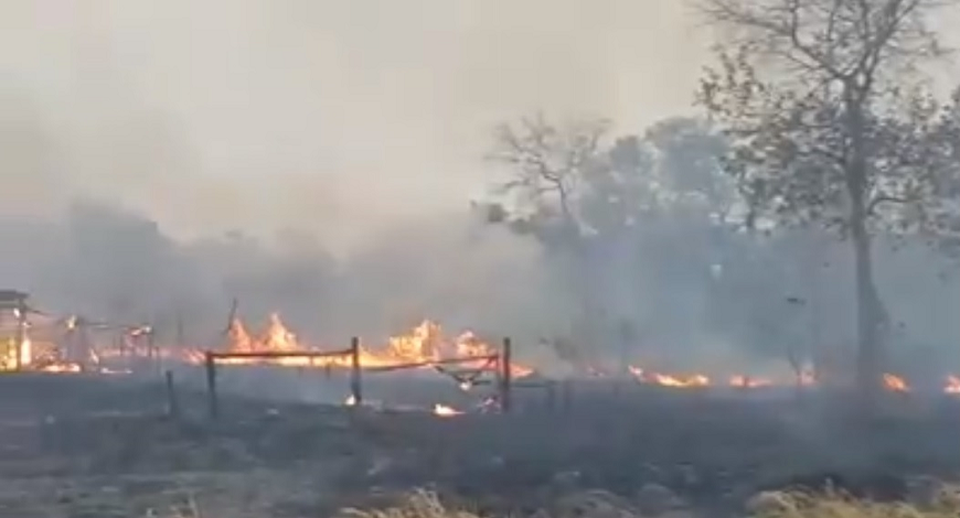 Humo por incendios forestales, ¿Qué hacer?