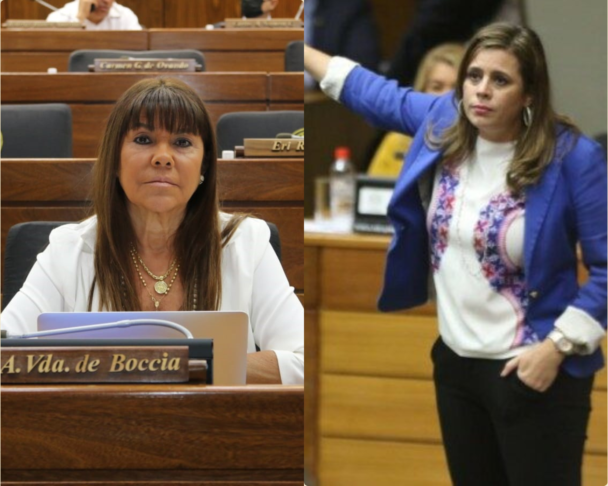 Kattya González sobre Celeste Amarilla: ” Para justificar su posición ella termina distorsionando y embarrando la verdad”