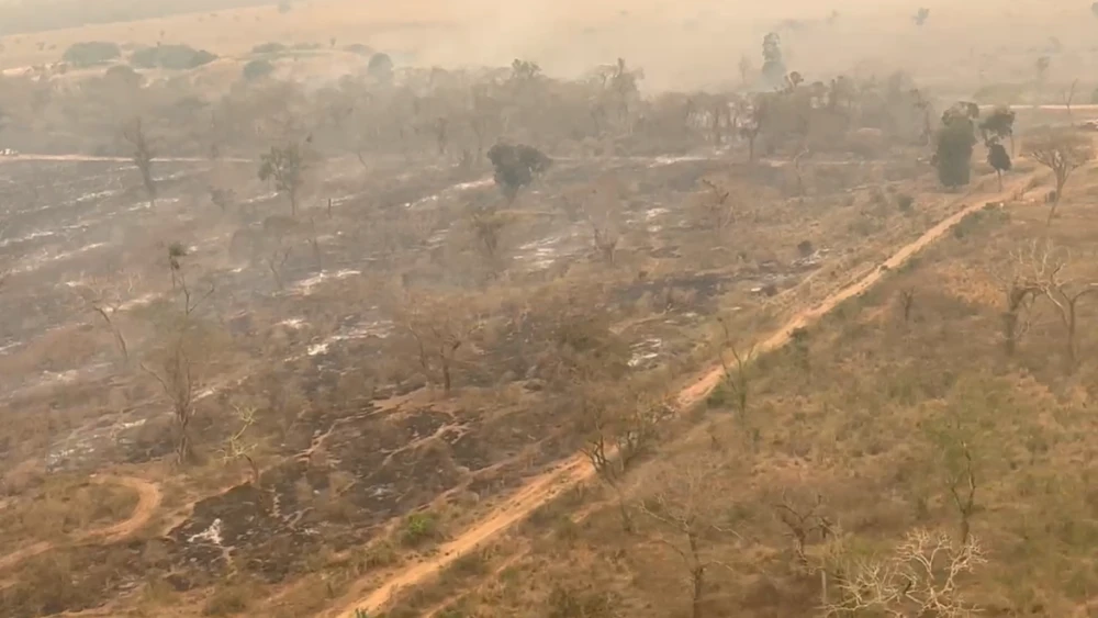 Registran nuevo incendio forestal en el chaco