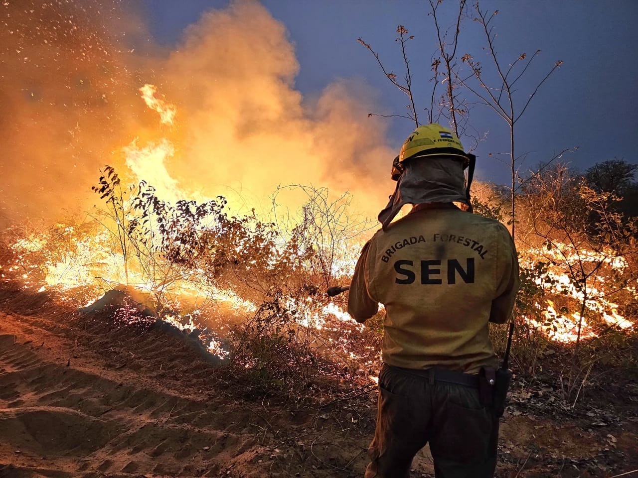 SEN advierte que las lluvias no son suficientes para calmar el incendio en Chovoreca