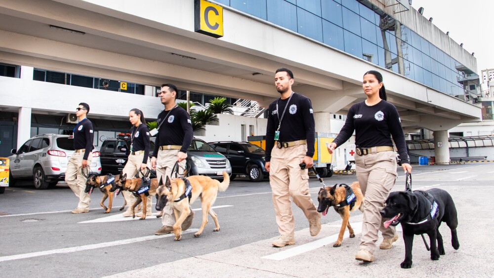 Paraguay incorpora perros antidrogas adquiridos con recursos propios